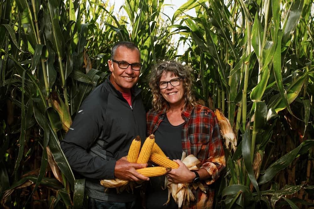 Man and woman smile and hold ears of ripe corn in field of corn